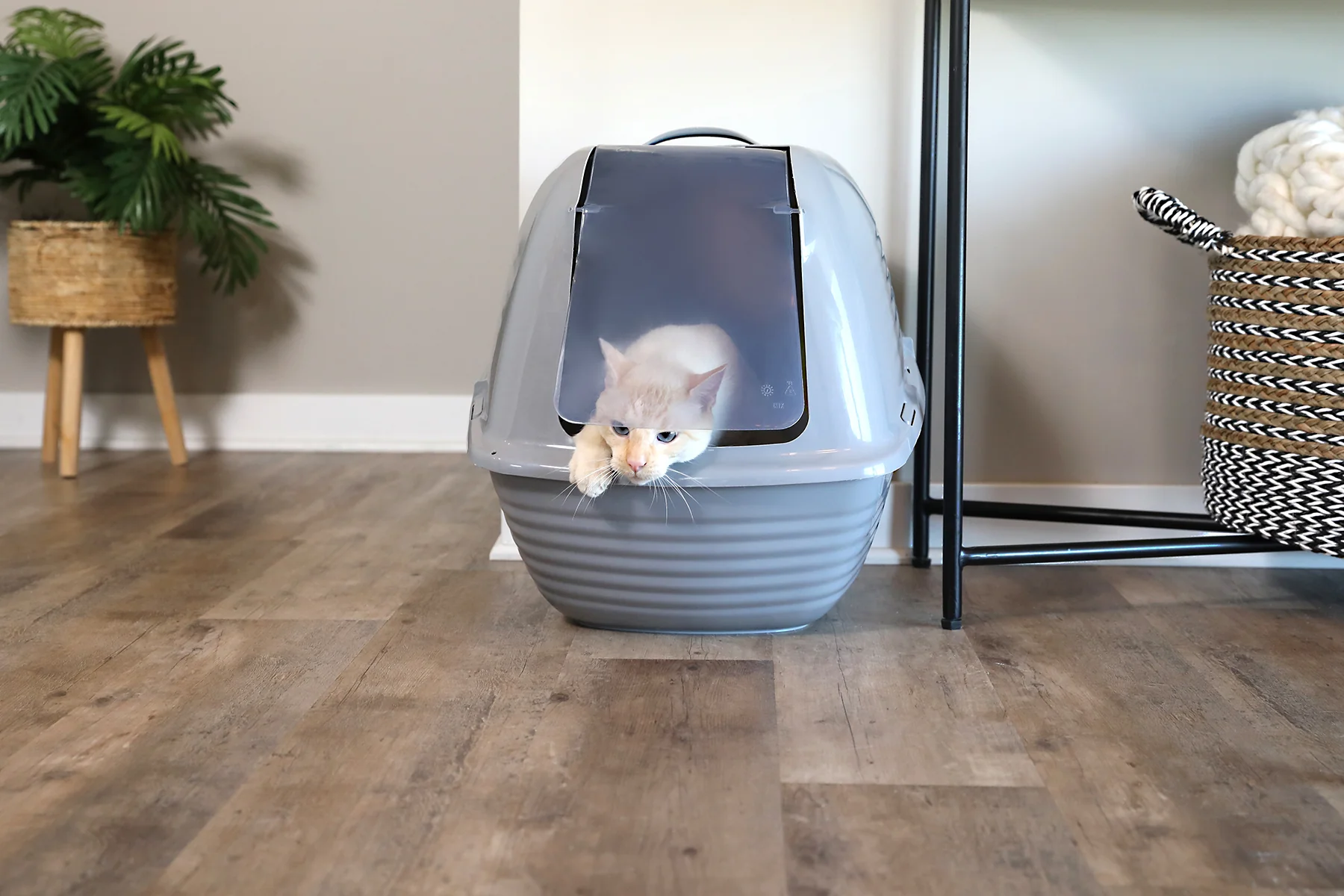 Arm & Hammer Hooded Wave Litter Box - Image 8