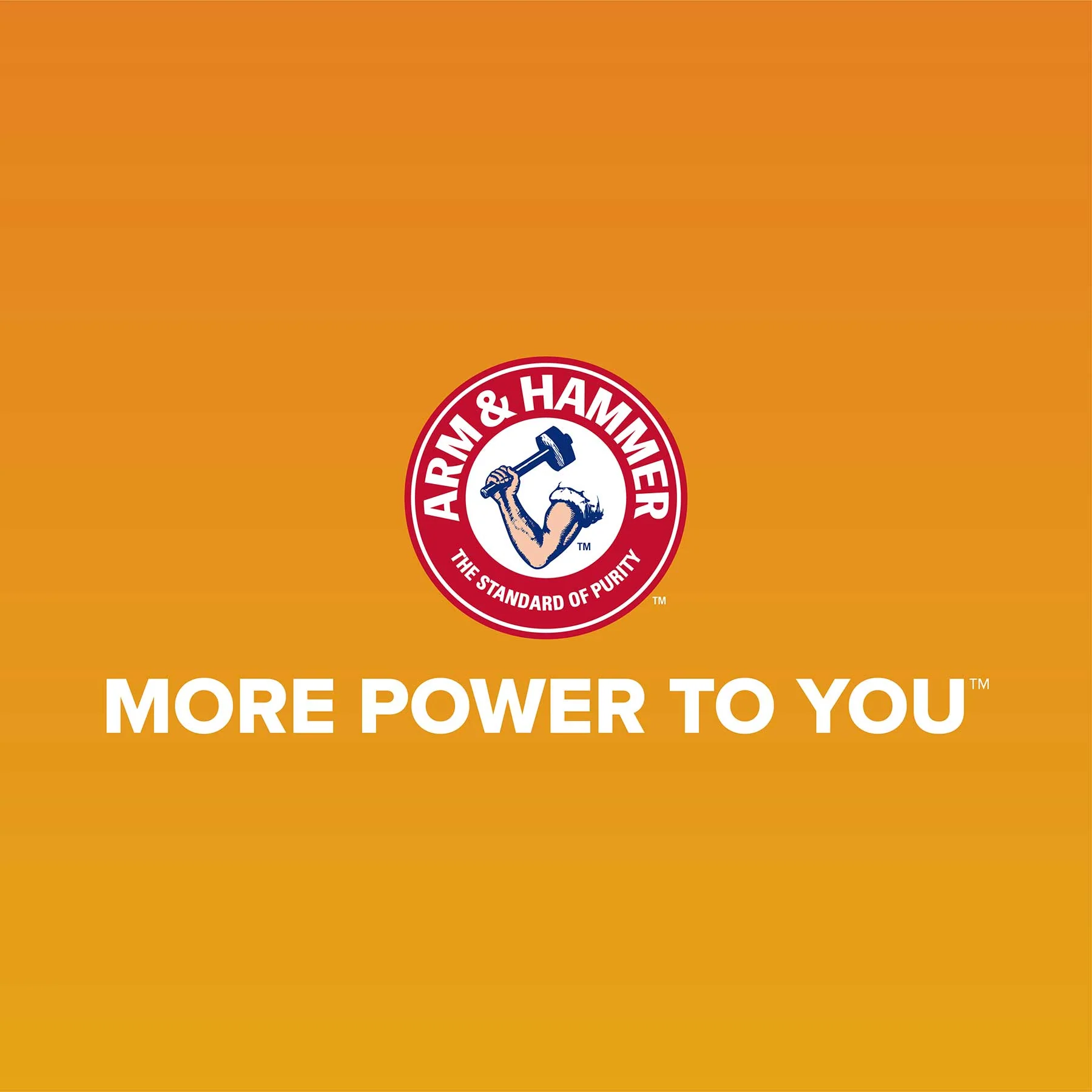 Arm & Hammer SimplyRecycled Wave Litter Box - Image 7