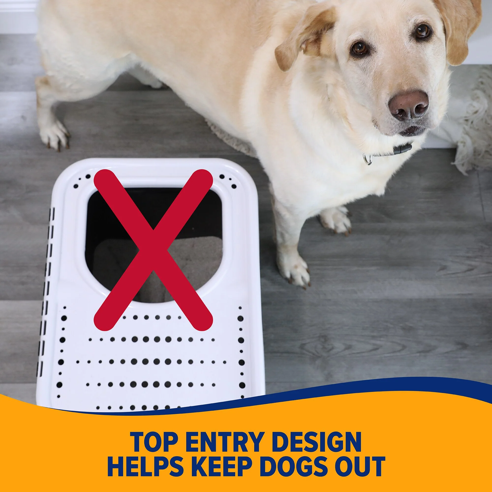 Arm & Hammer Top Entry Litter Box - Image 4