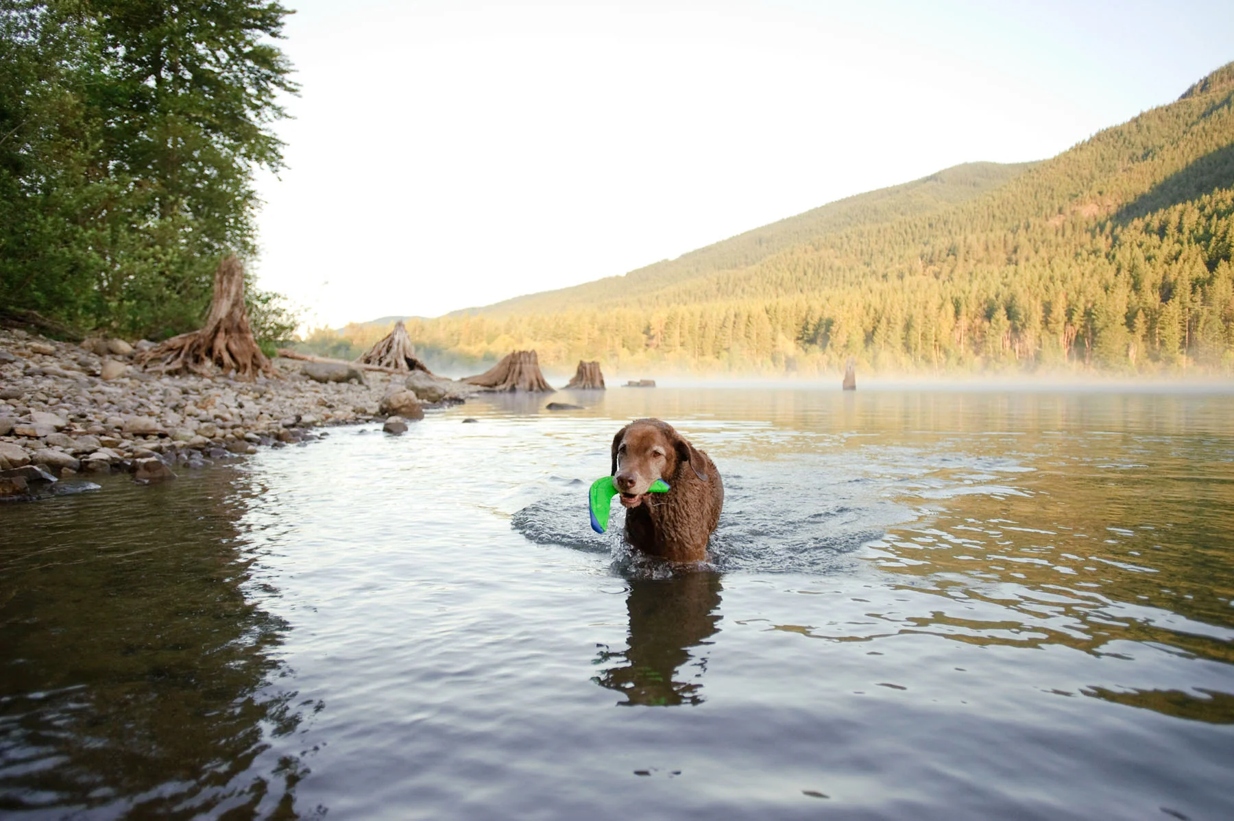 Chuckit! Amphibious Boomerang - Image 5