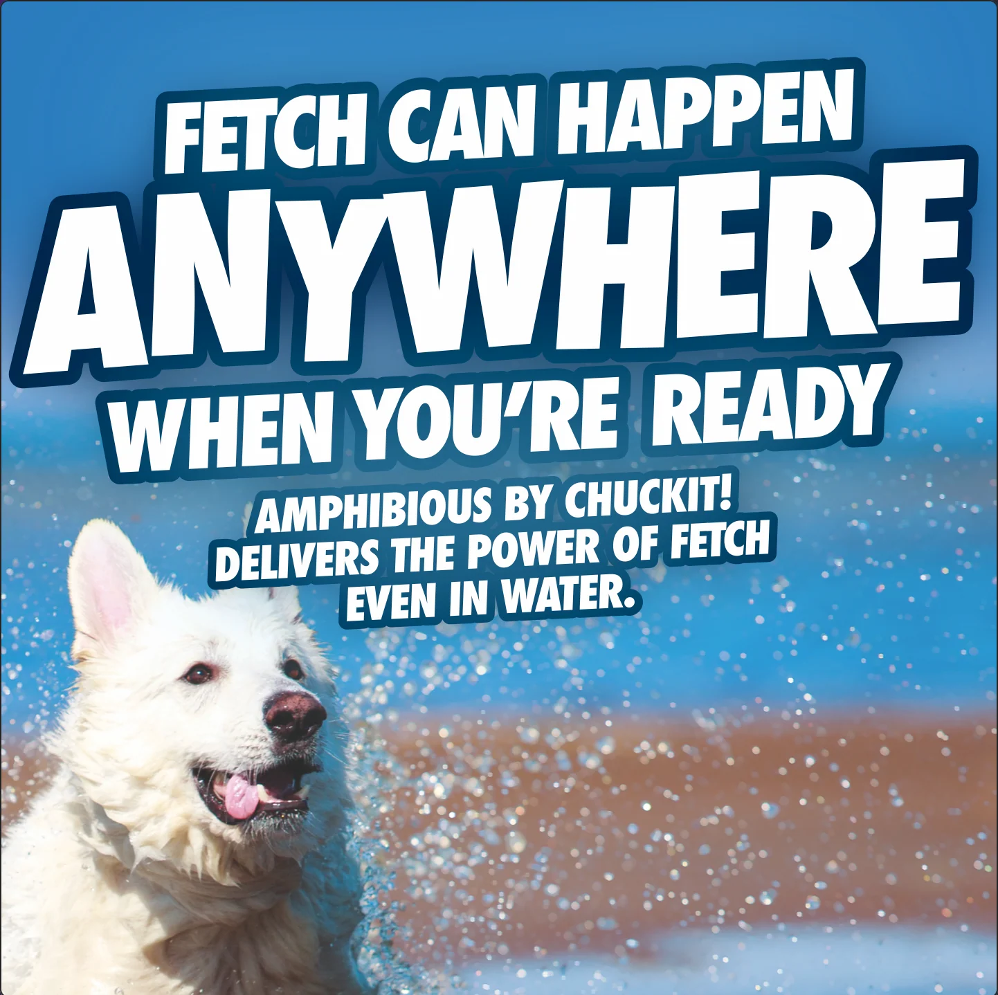 Chuckit! Amphibious Fetch Balls Medium 3 Pack - Image 5