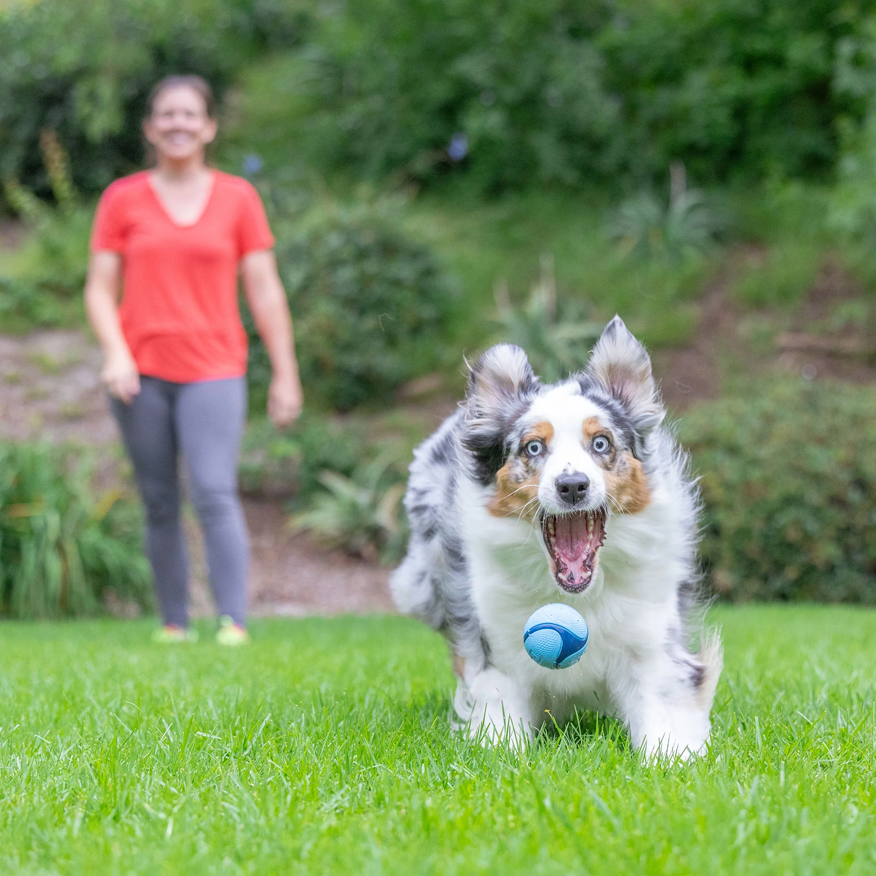 Chuckit! Bacon Sniff Fetch Ball - Image 7