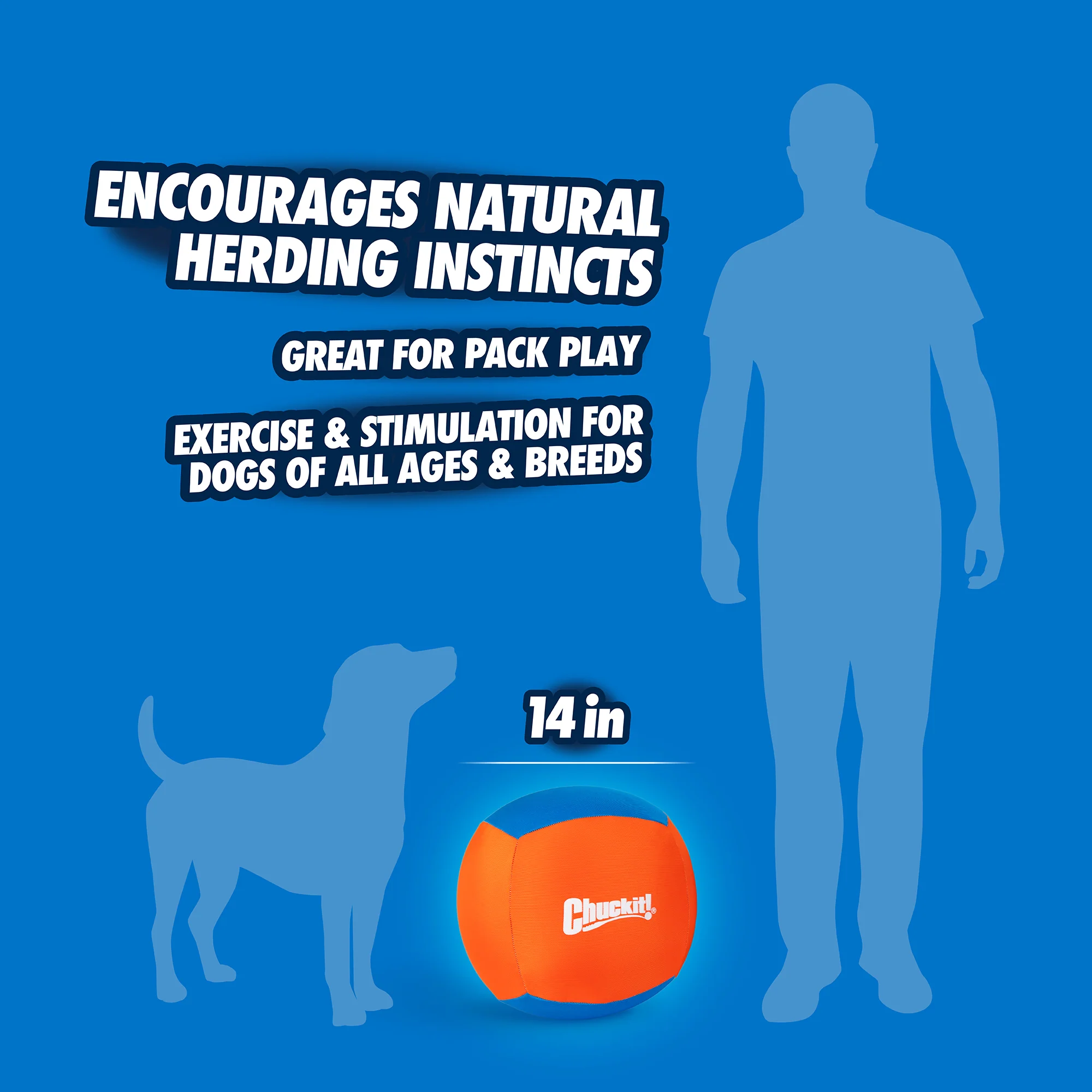 Chuckit! Big Air Fetch & Herding Ball Dog Toy - Image 4