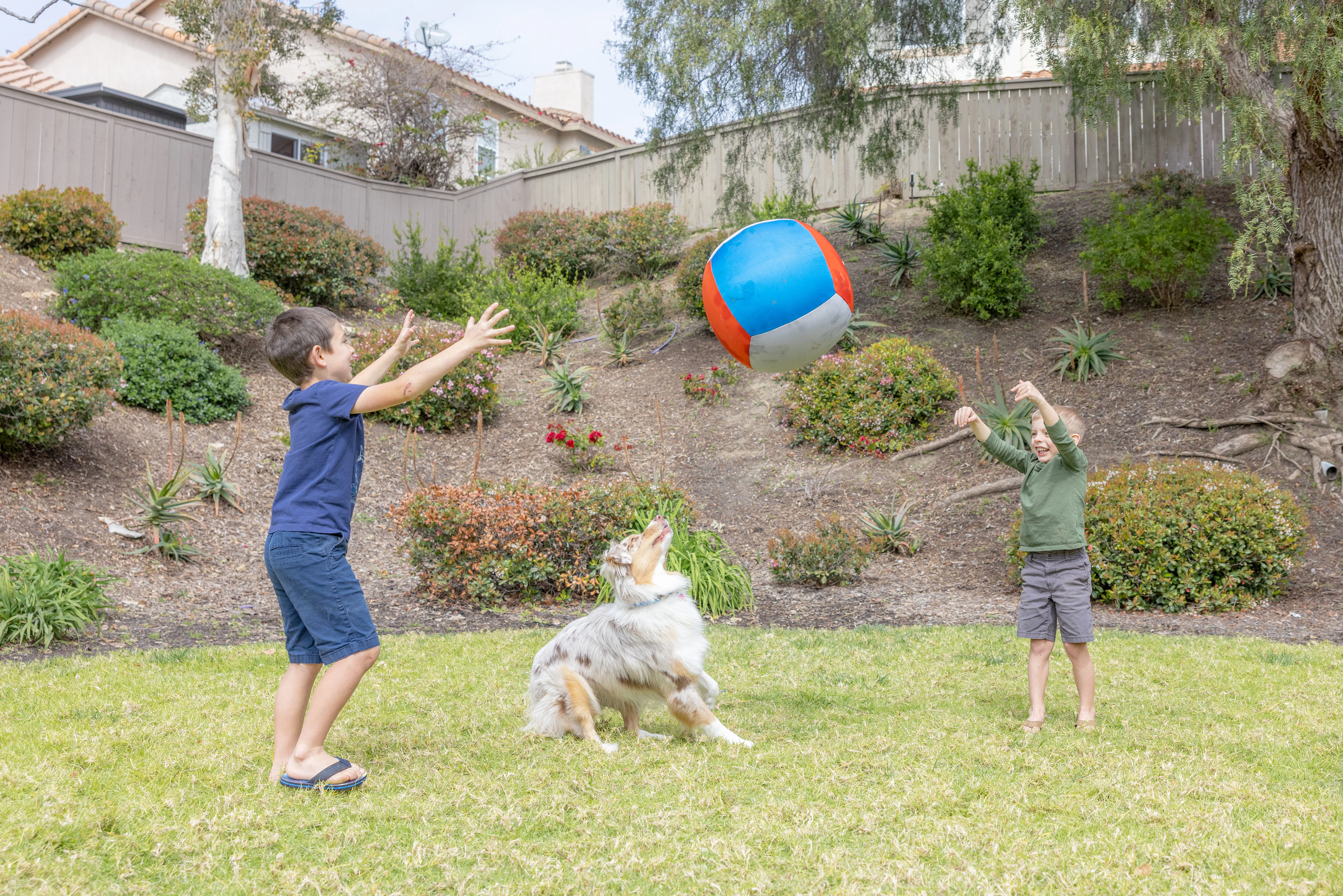 Chuckit! Big Air Fetch & Herding Ball Dog Toy - Image 8