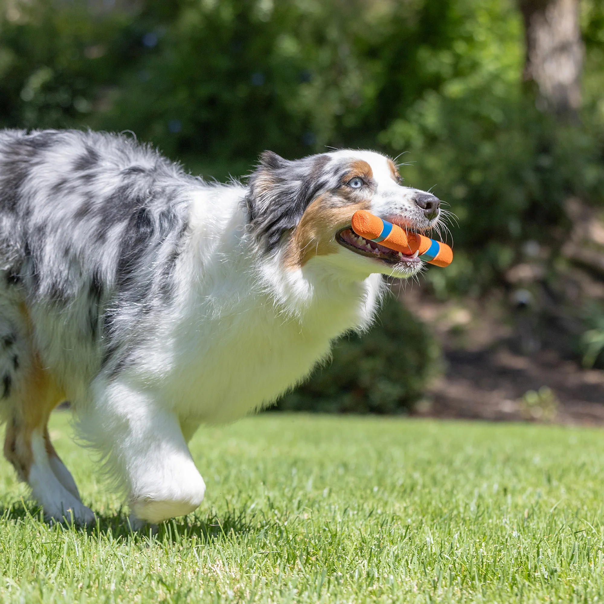 Chuckit! Day & Night Ultra Fetch Stick 2 Pack - Image 5