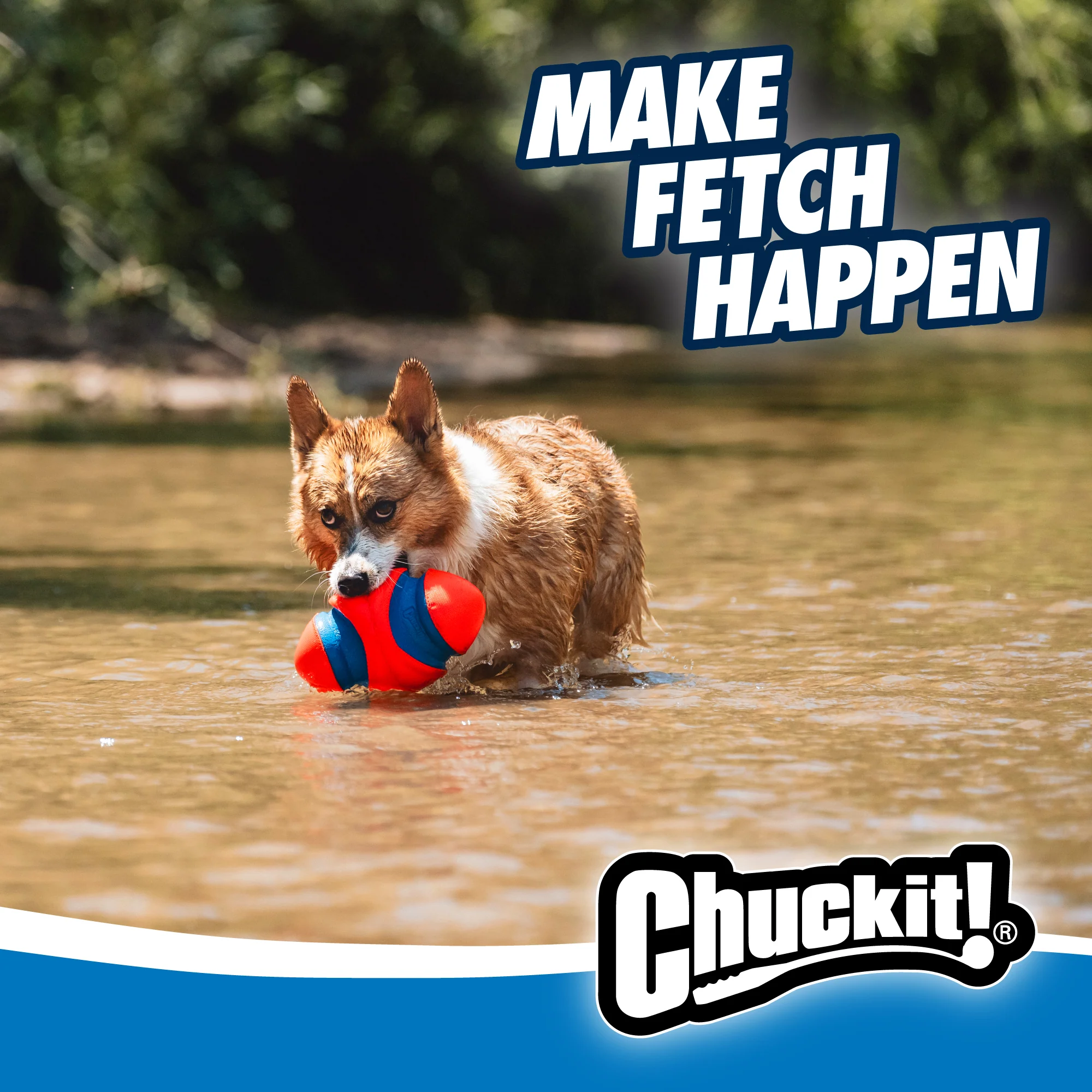 Chuckit! Fumble Fetch - Image 5