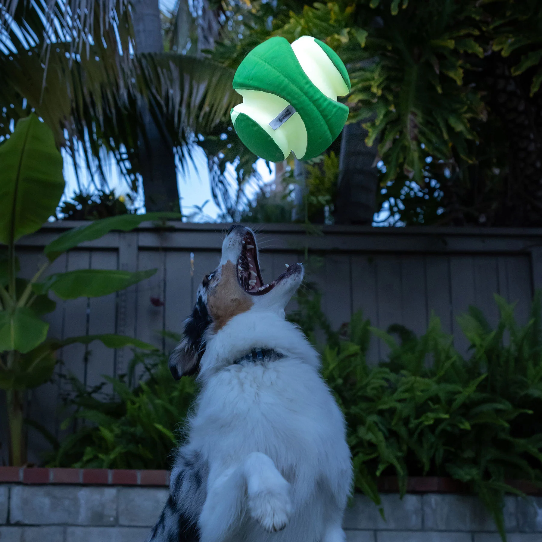 Chuckit! Kick Fetch Max Glow - Image 5