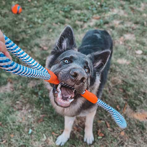 Chuckit! Mountain Rope Tug - Image 4