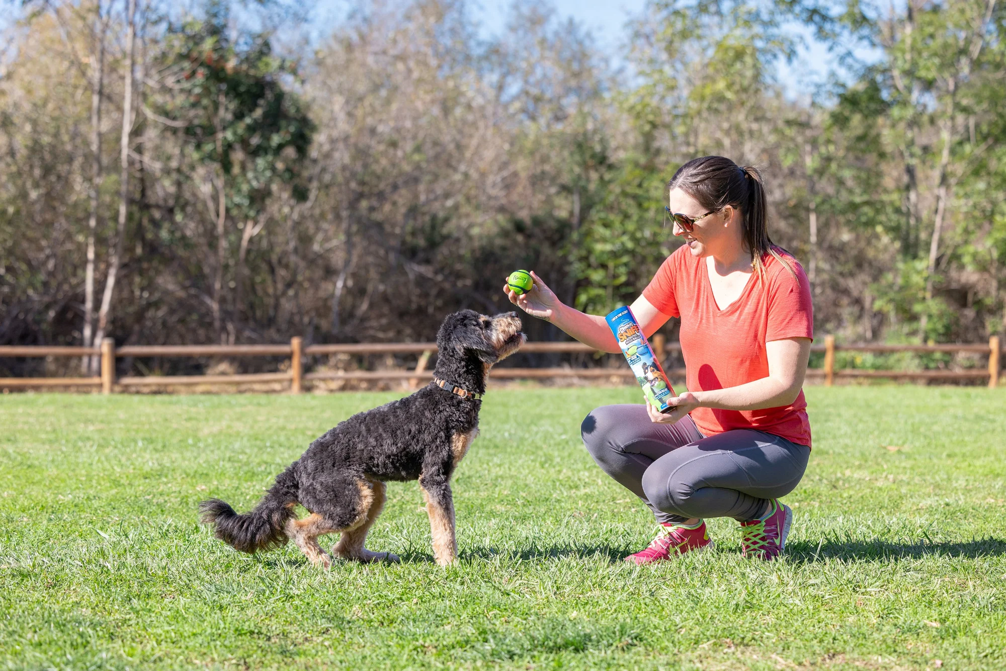 Chuckit Sniff Ball 4 Pack - Image 4