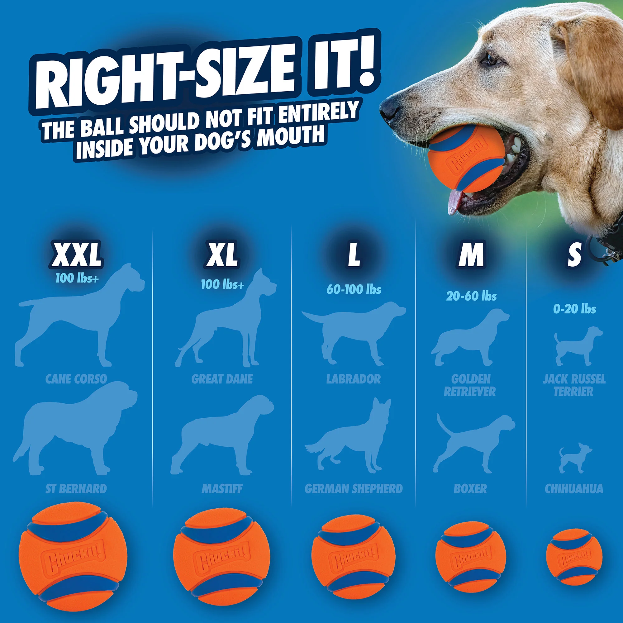 Chuckit! Sport Launcher & Fetch Toy Set - Image 7