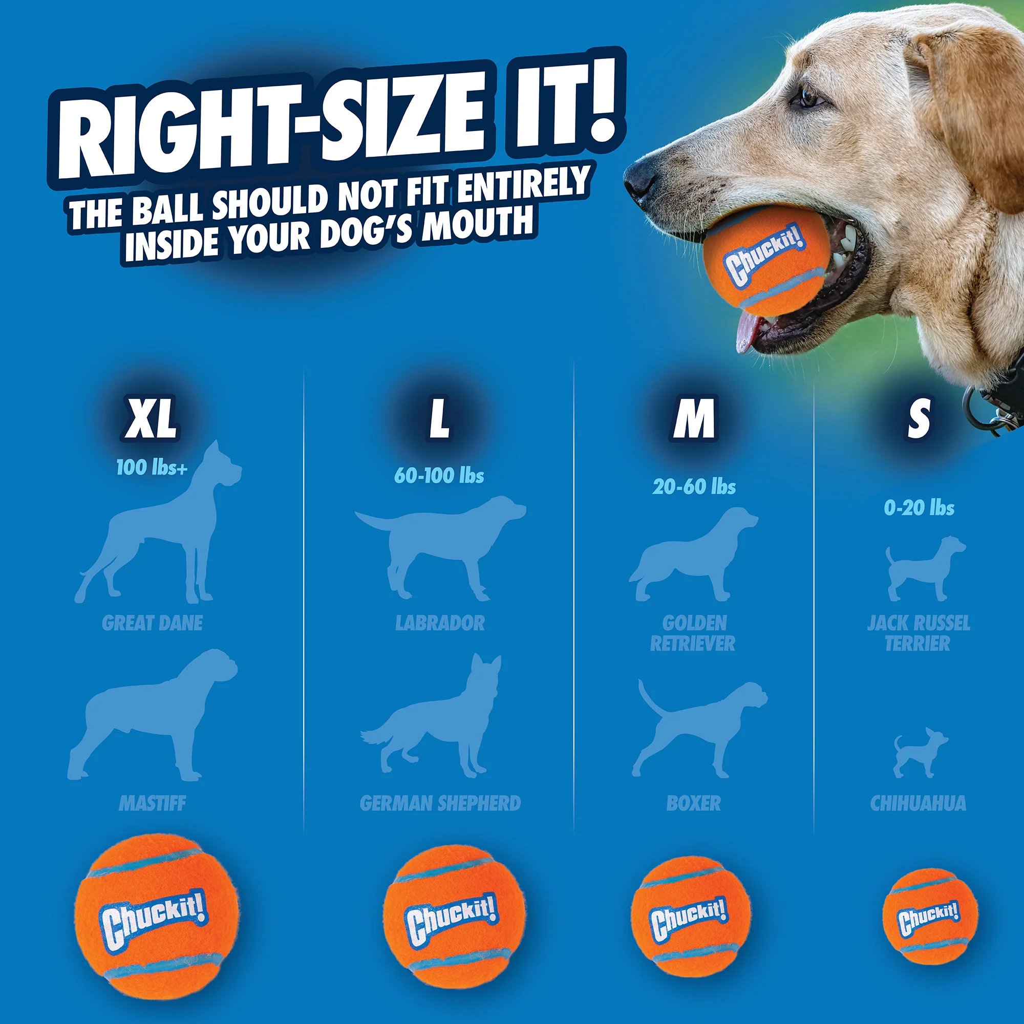 Chuckit! Tennis Balls for Dogs - Image 4