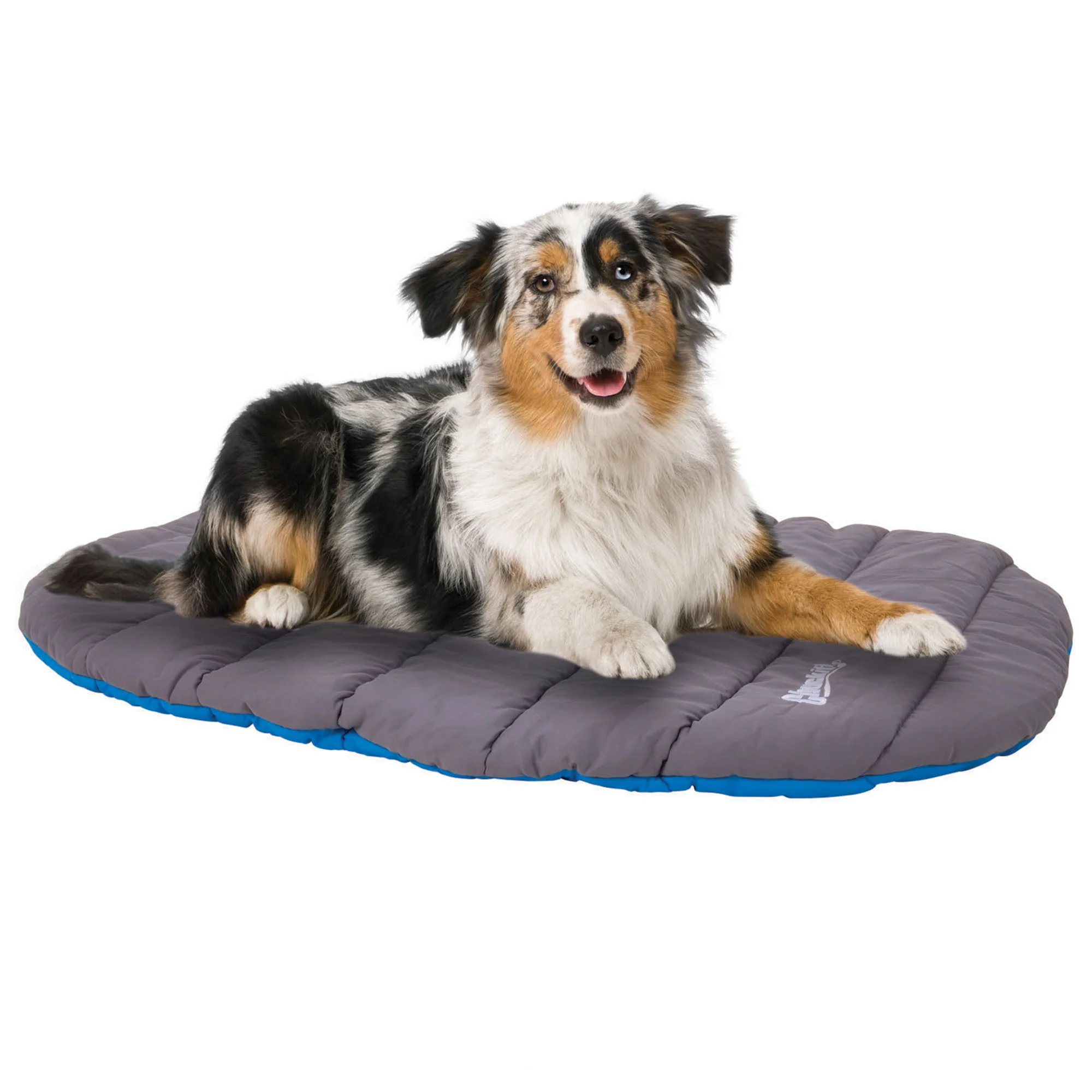 Chuckit! Travel Pillow Bed - Image 5