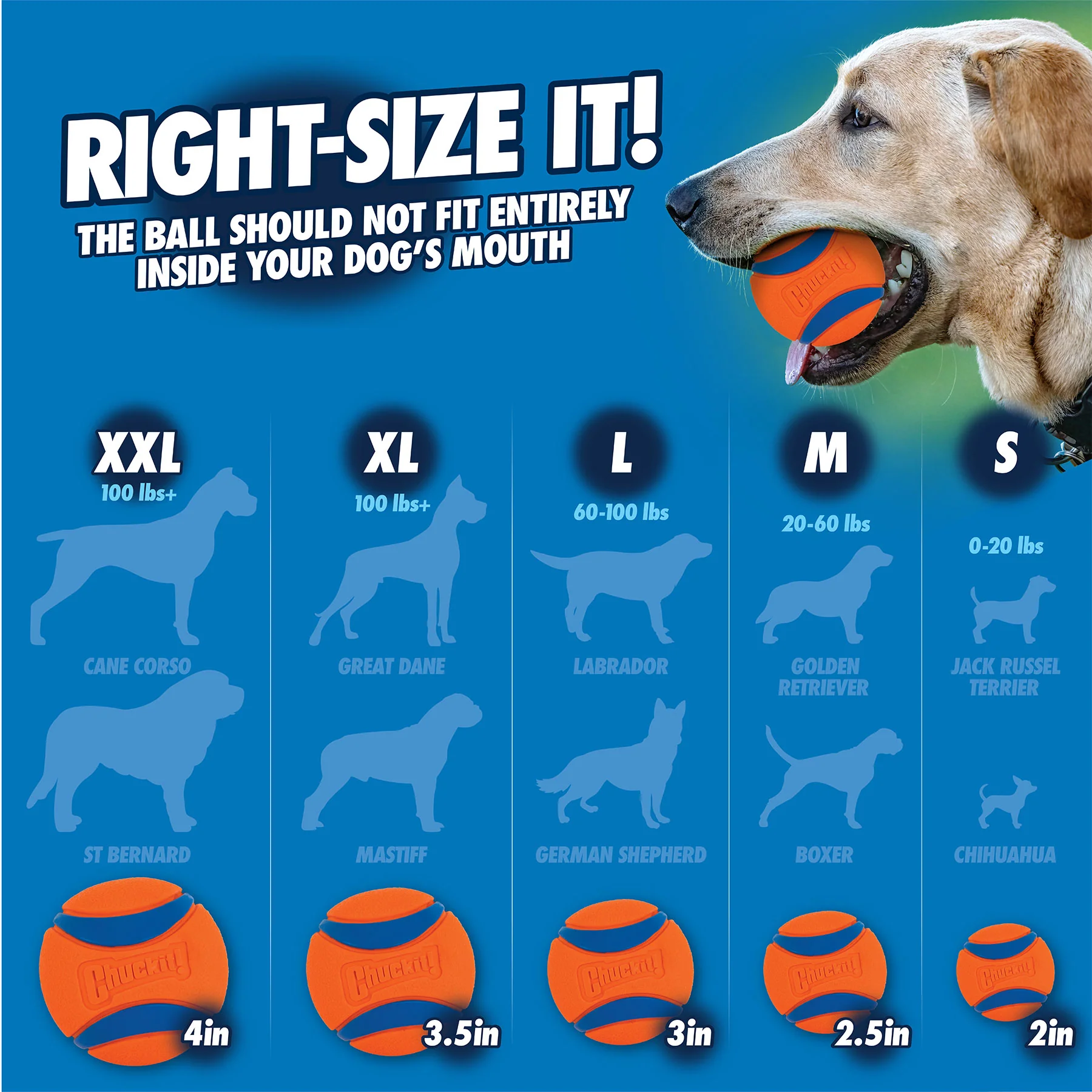 Chuckit! Ultra Squeaker Ball - Image 6