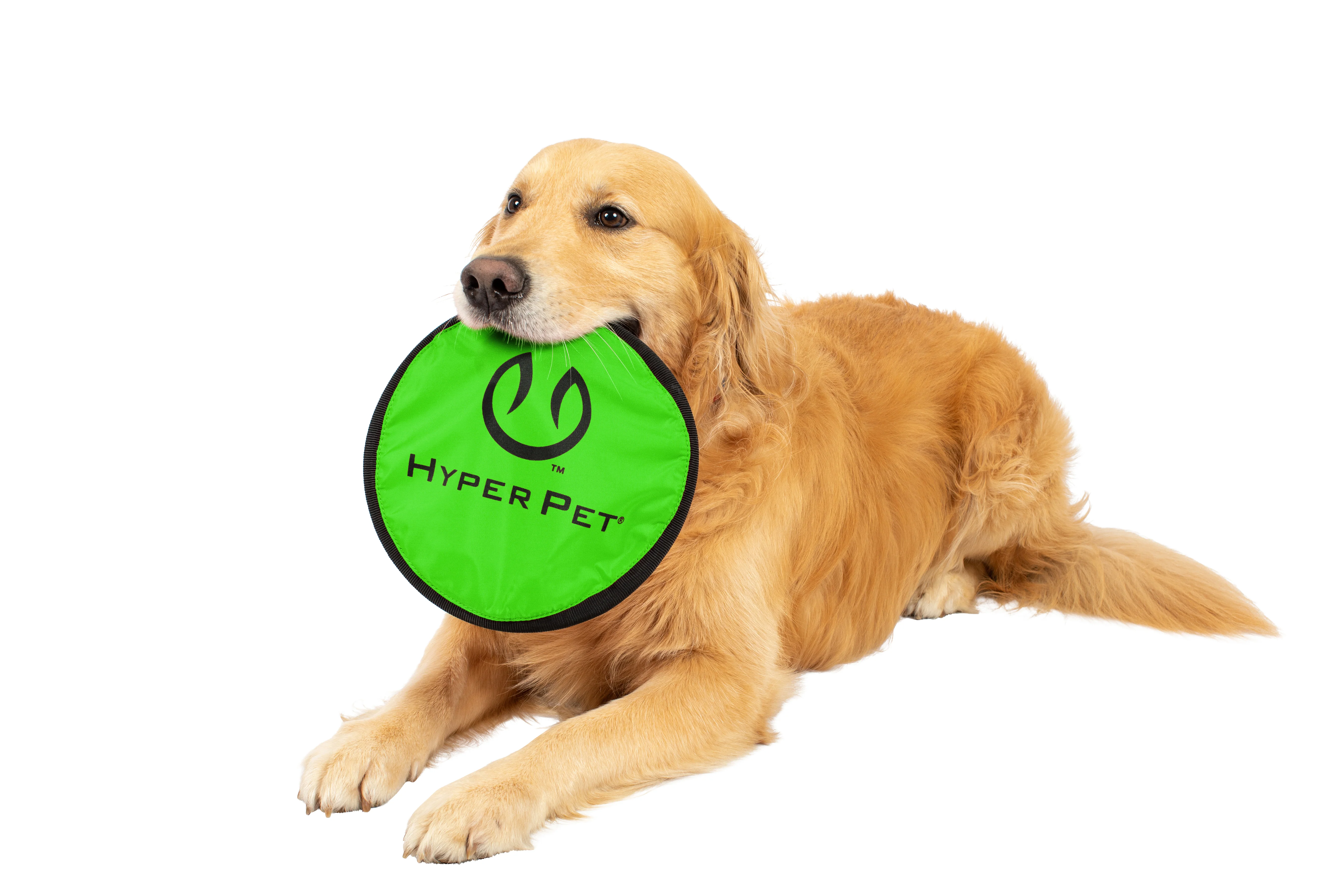 Hyper Pet Flippy Flopper 9" Flying Disc Assorted Colors - Image 6