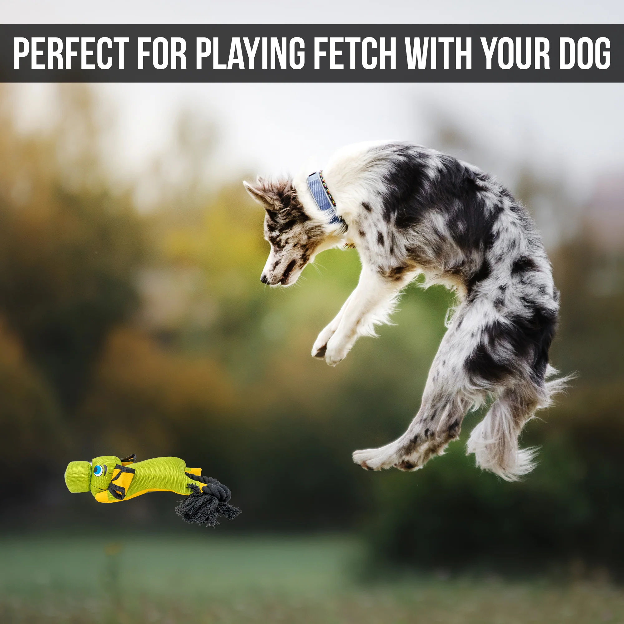 Hyper Pet Flying Pig Interactive Dog Toy - Image 6