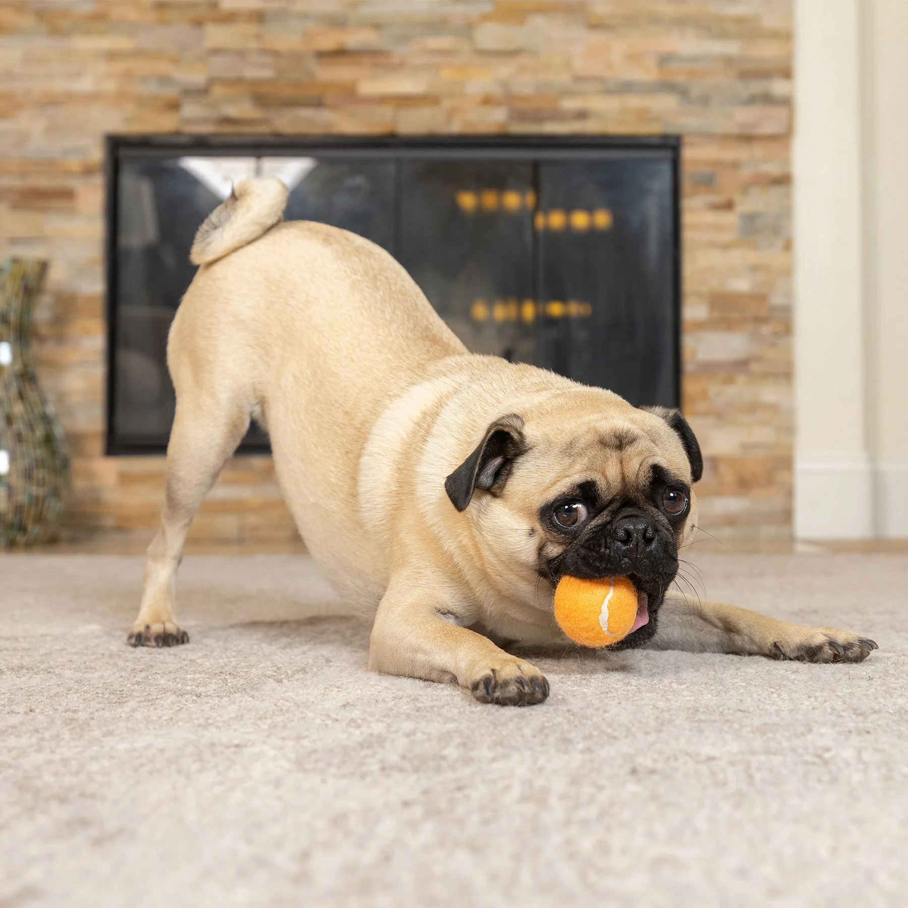 Hyper Pet Mini Orange Tennis Balls 4-Pack - Image 4