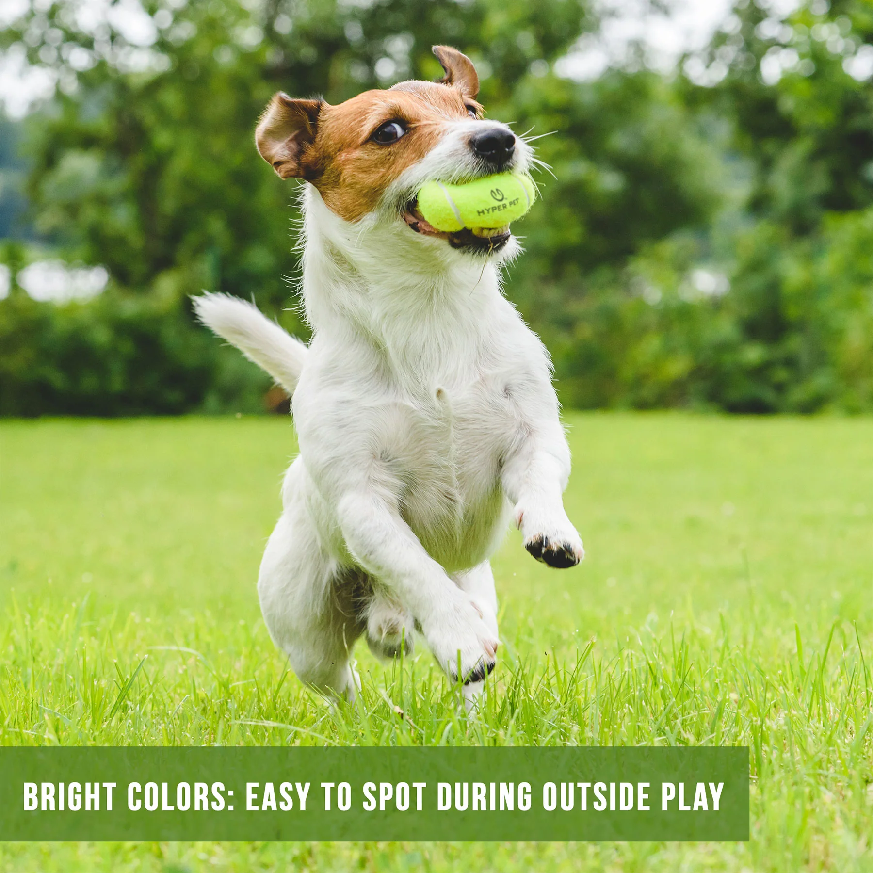 Hyper Pet Tennis Balls 4 Pack - Image 4
