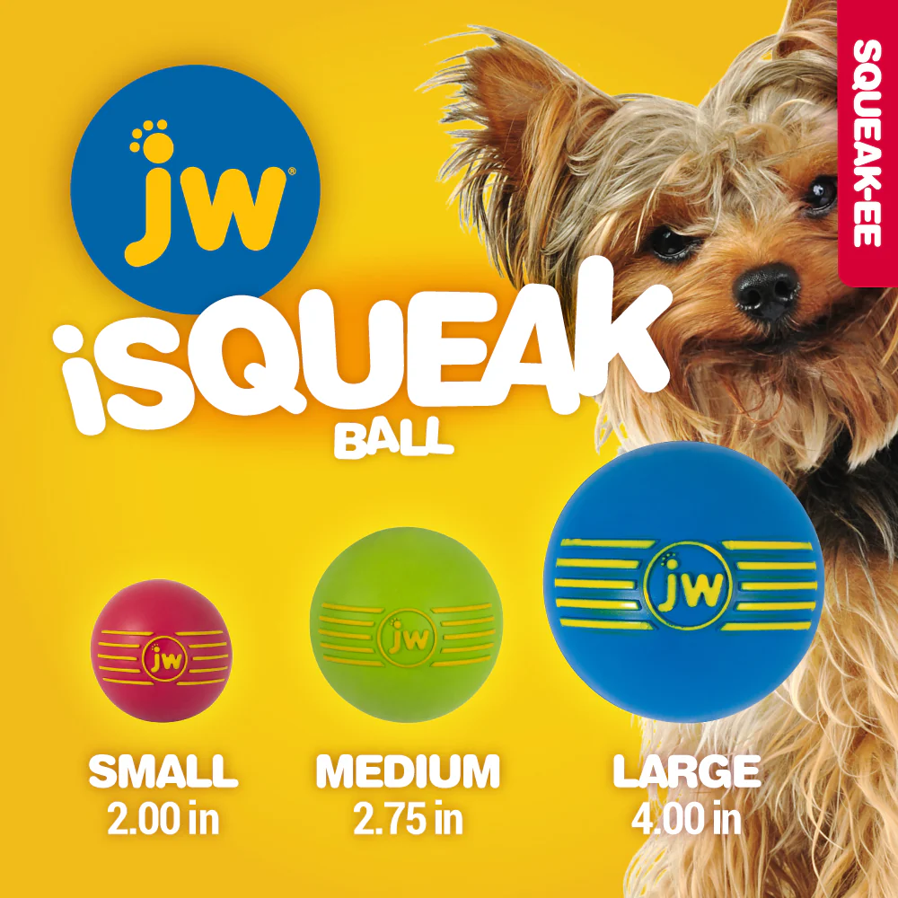 JW iSqueak Ball 1pack | Variable Colors - Image 3