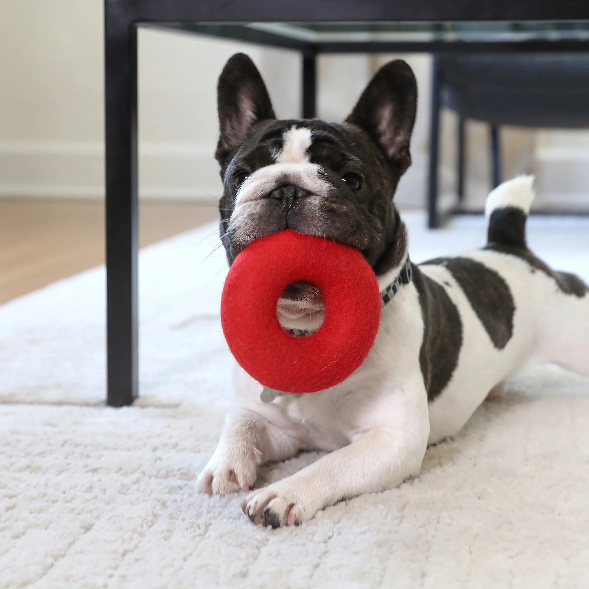 JW Wool-ee Ring Dog Toy - Image 3