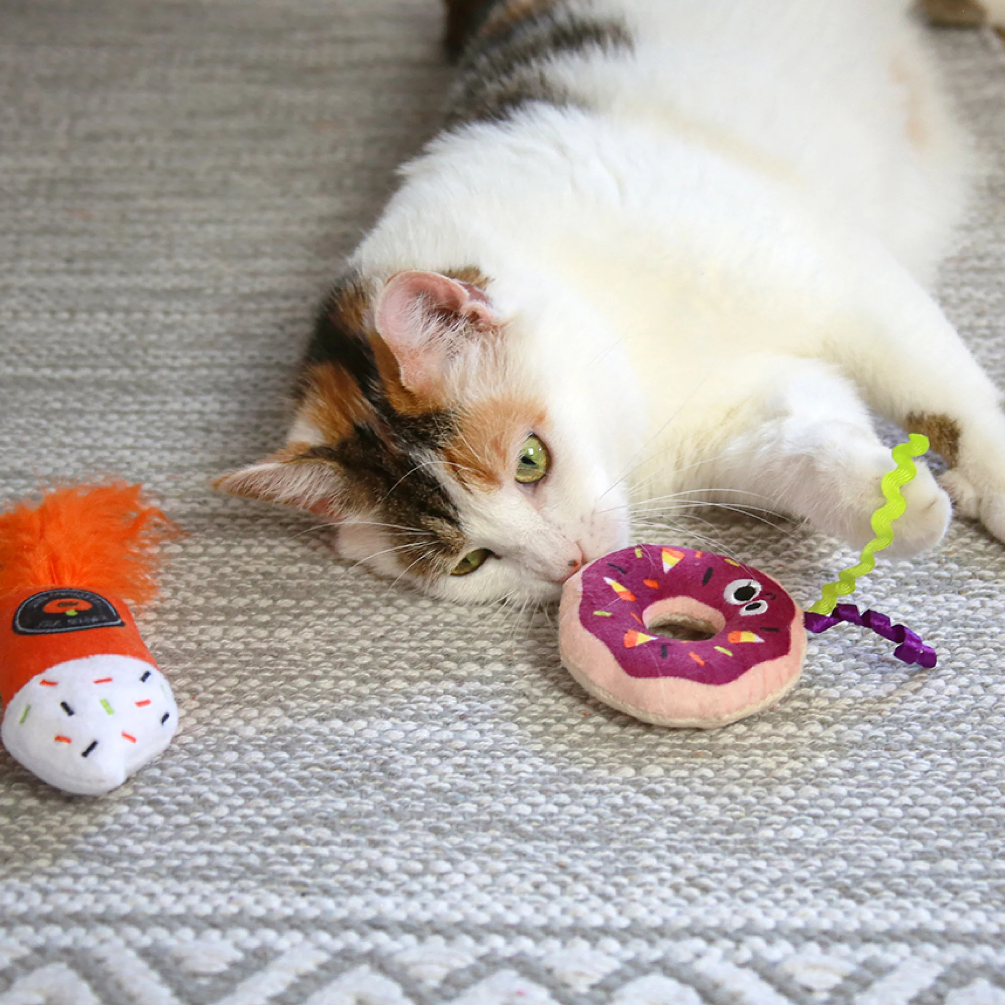 Mad Cat Festive Fall Treat Plush Cat Toy - Image 2