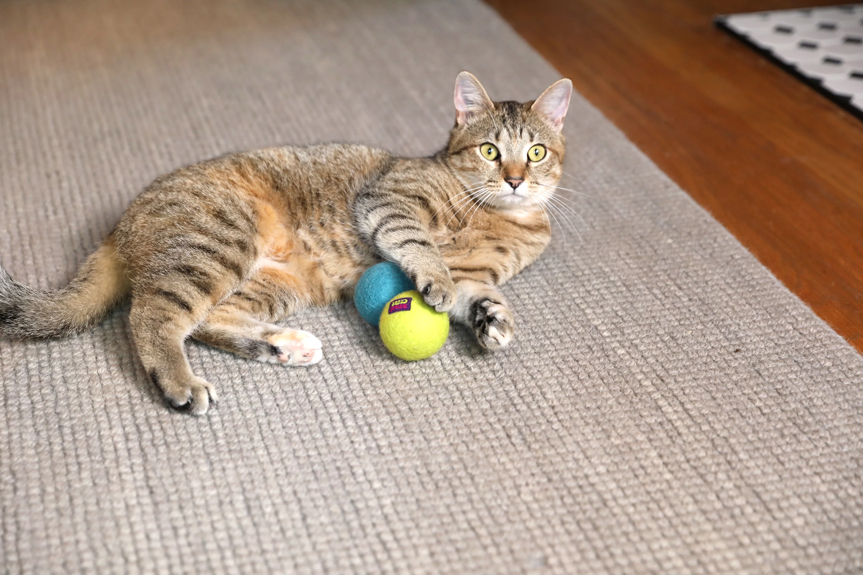 Mad Cat Wacky Wool Balls - Image 4