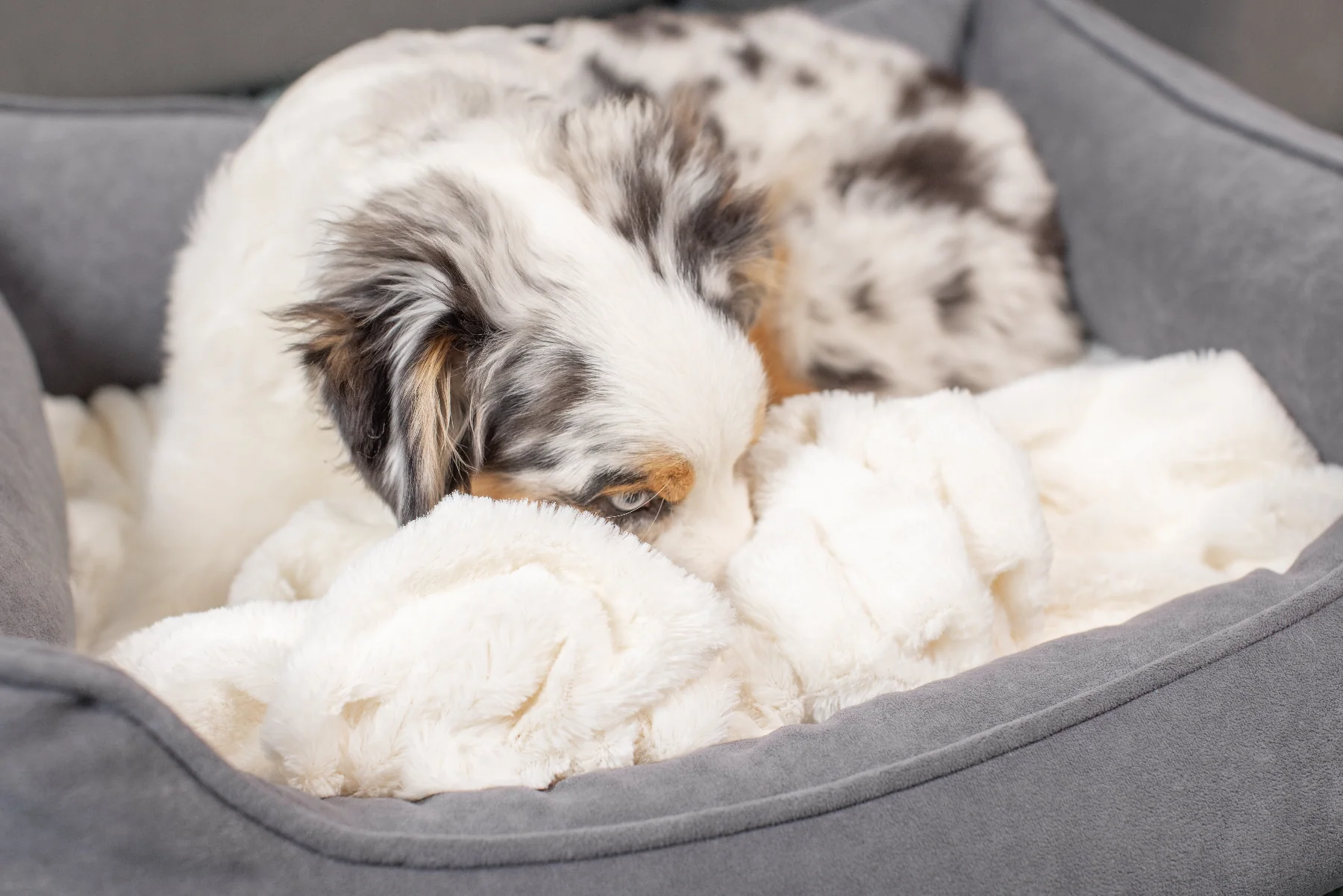 PetFushion Medium Cuddler Bed - Image 6