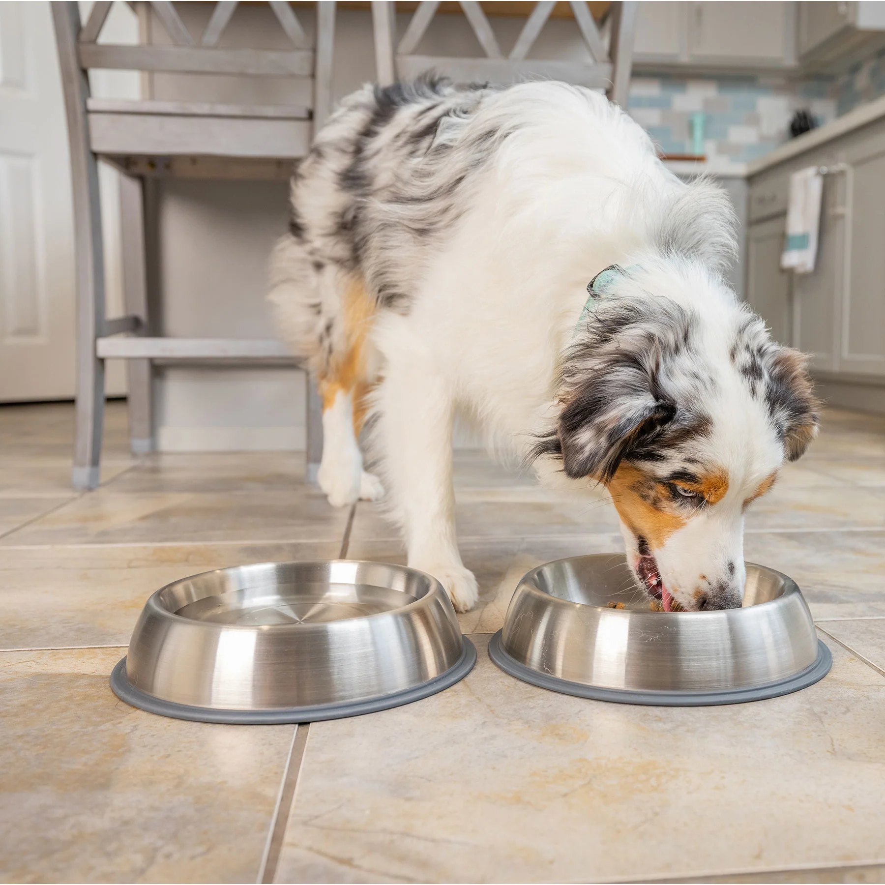 PetFusion Premium Brushed Anti-Tip Dog & Cat Bowls Set - Image 4