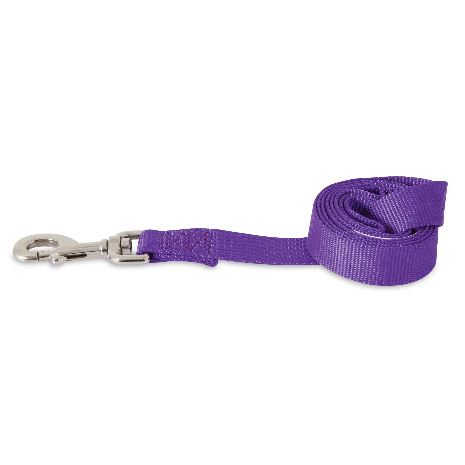 Petmate Nylon Standard Core Dog Lead - Image 5