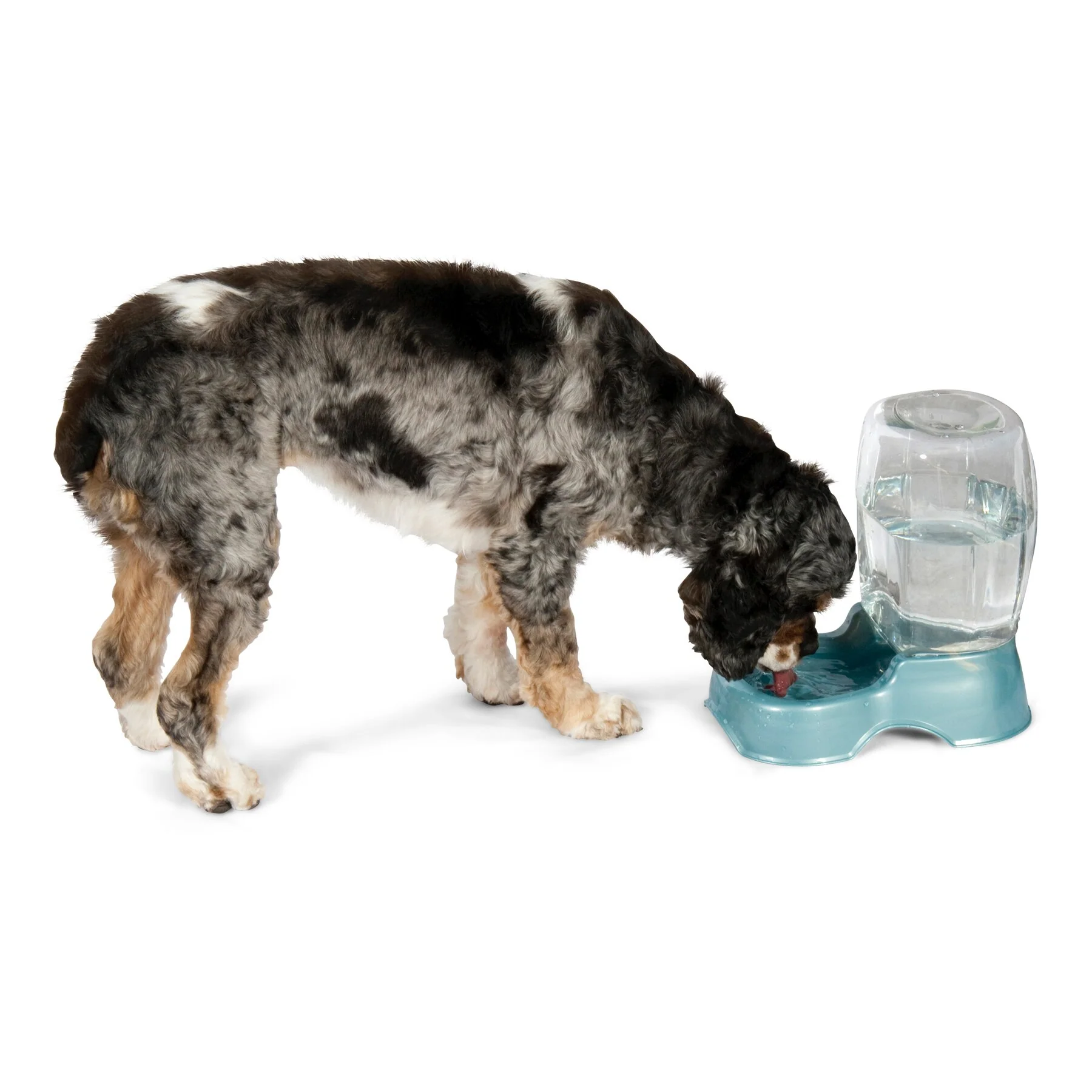Petmate Pet Cafe Gravity Water Bowl - Image 3