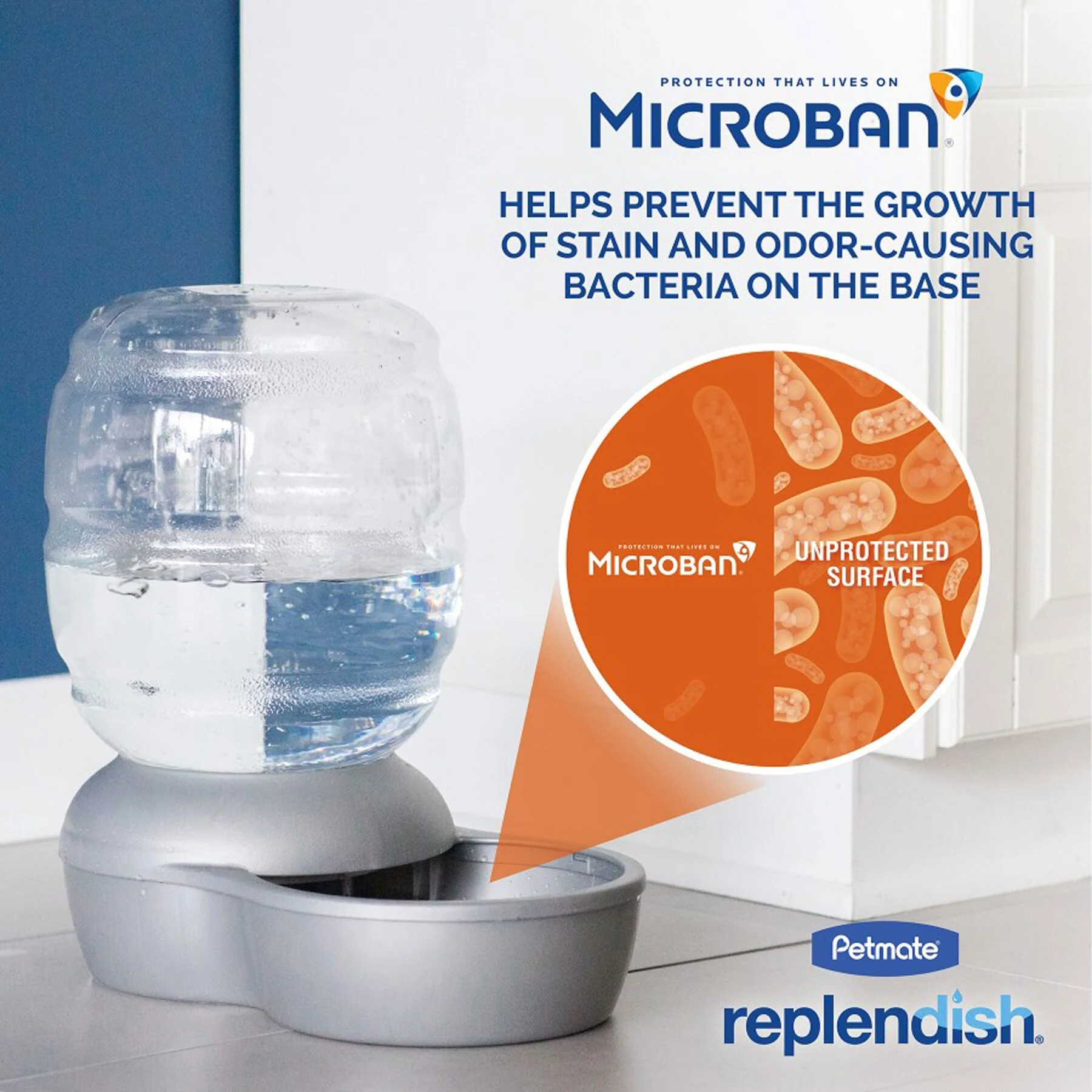 Petmate Replendish Pet Feeder With Microban - Image 6