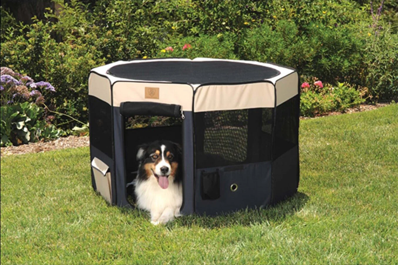 Precision Pet Soft Side Play Yard - Image 6