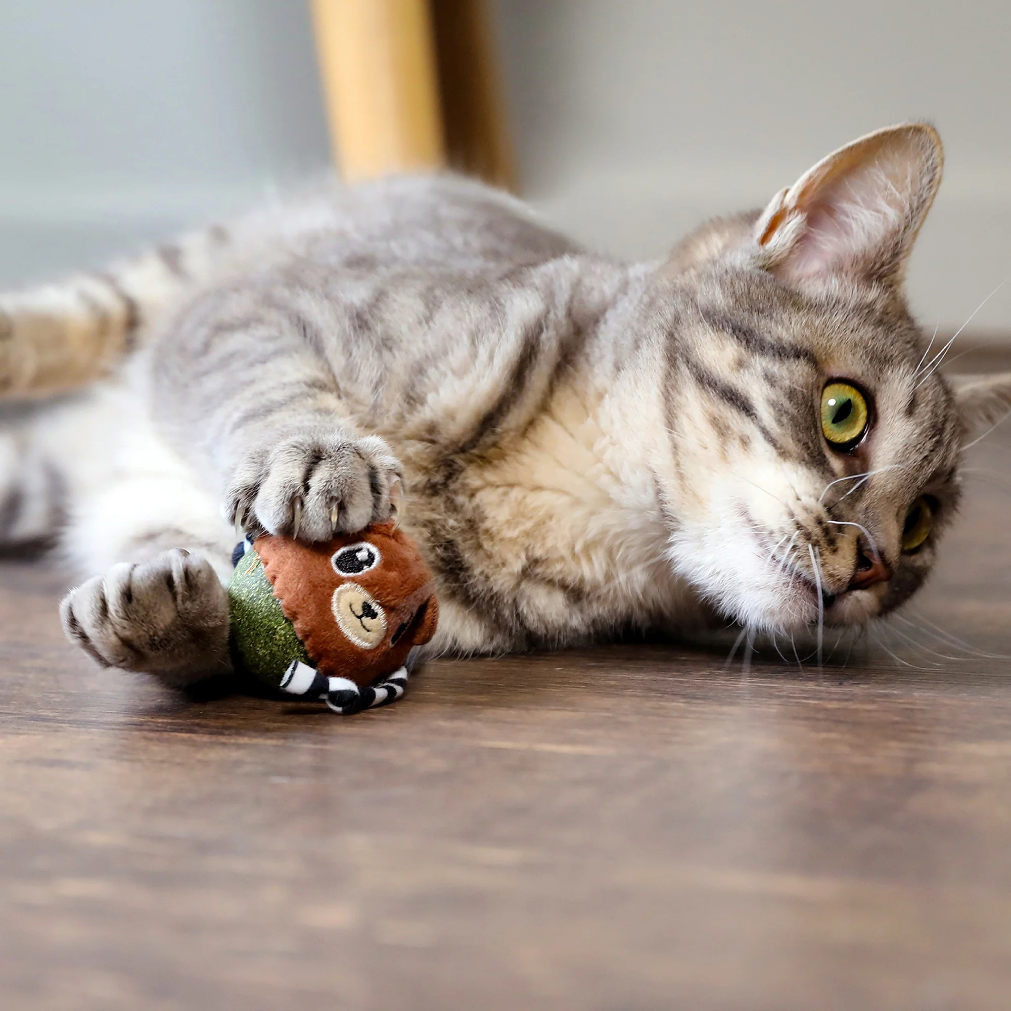 Quirky Kitty Bobble Bear Catnip Bobbler Cat Toy - Image 4