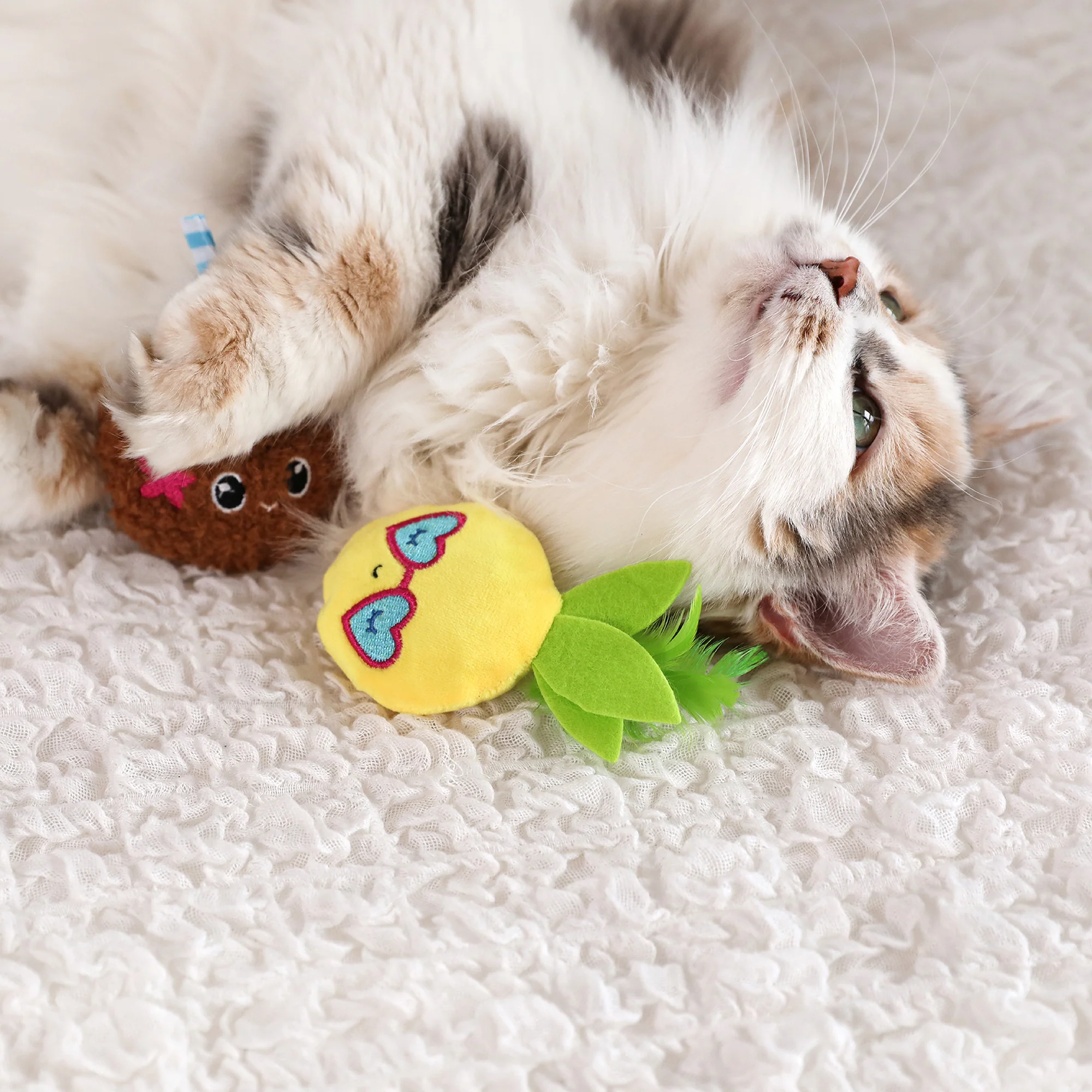 Quirky Kitty Purrfect Pina Colada Catnip Plush Cat Toy - Image 4