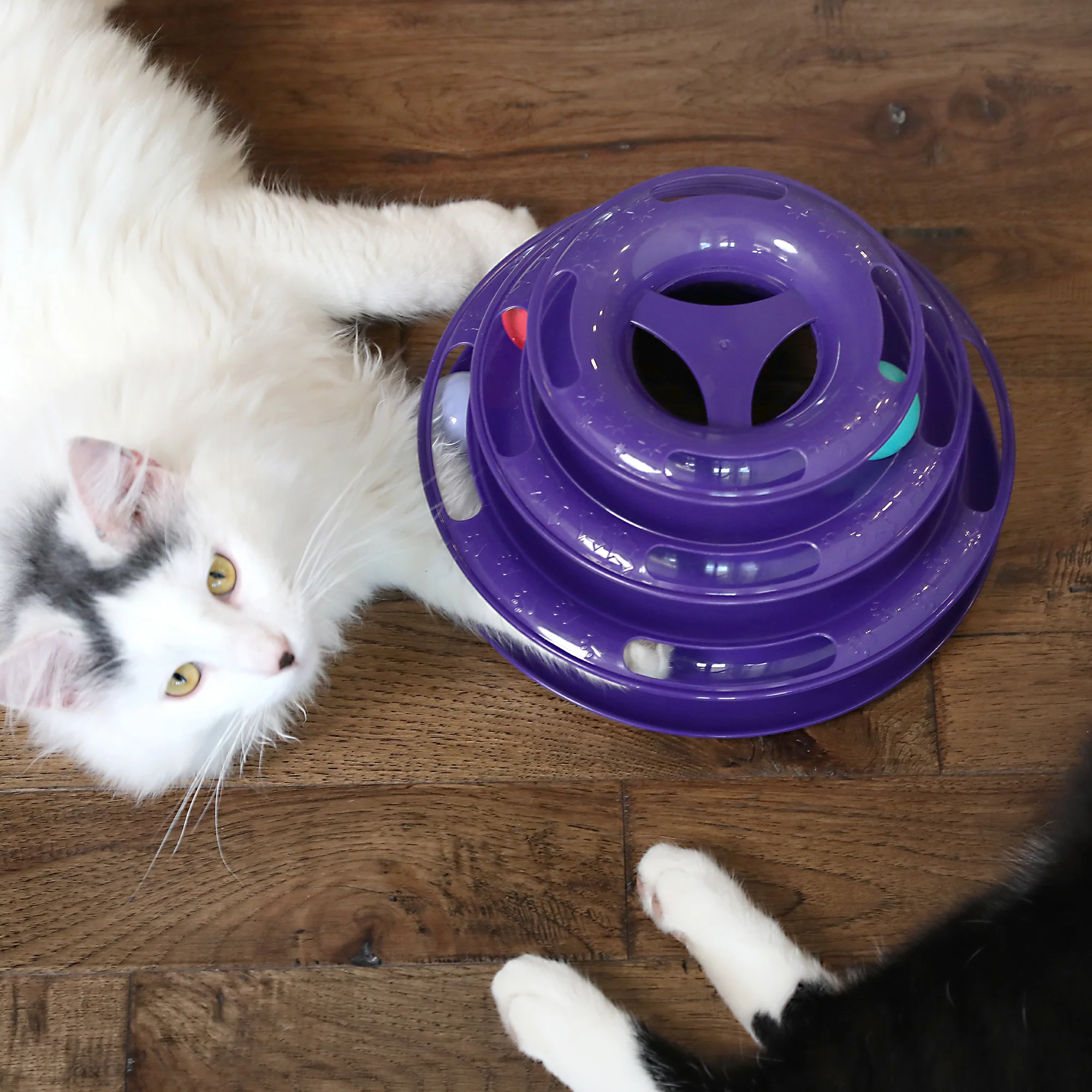 Quirky Kitty Three Layer Ball Track Cat Toy - Image 3